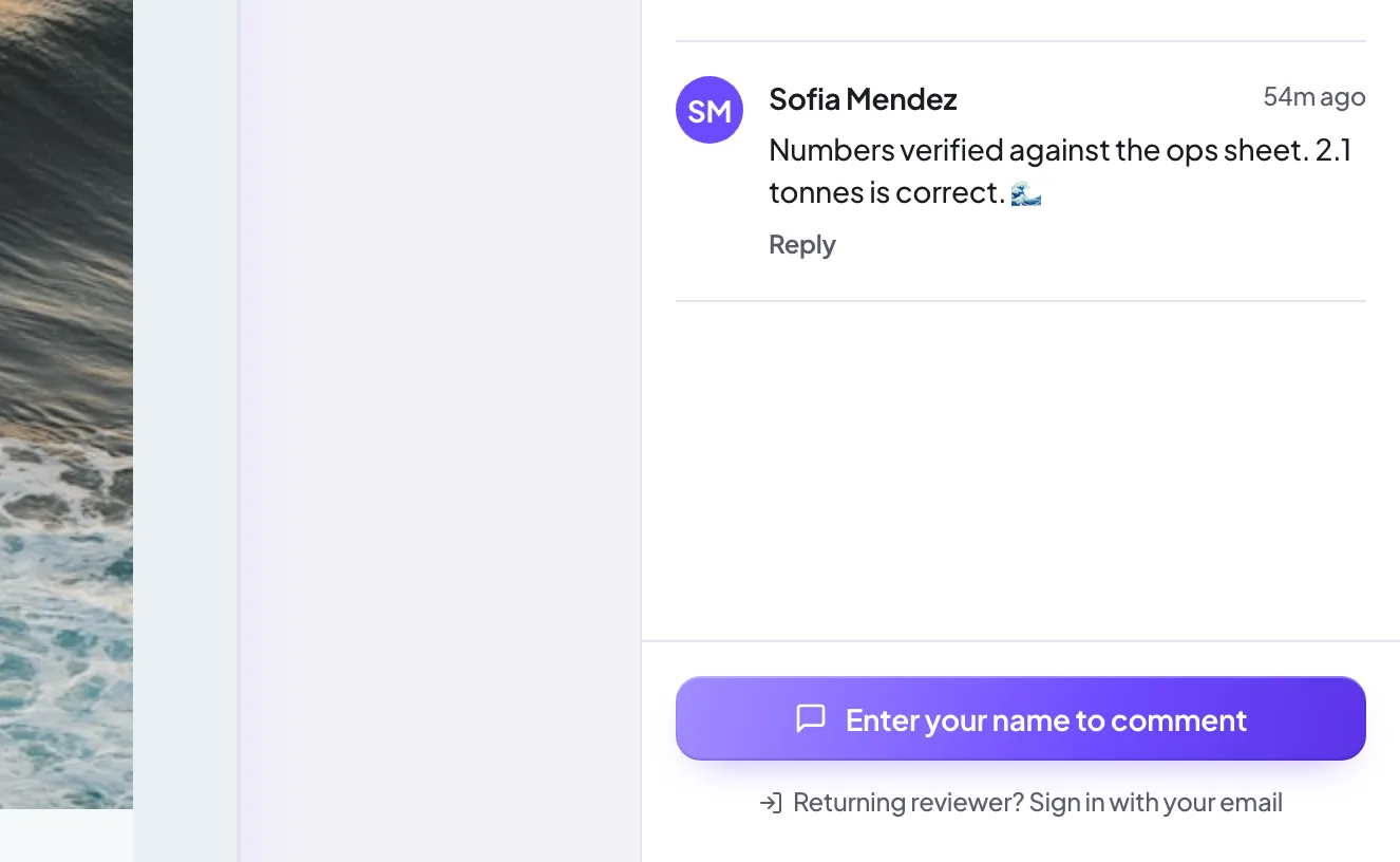 The Enter your name to comment prompt a guest reviewer sees in the sidebar