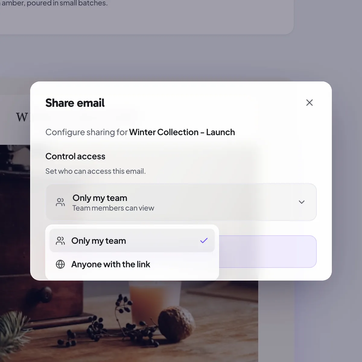 The share-link access levels: Only me, Only my team, and Anyone with the link