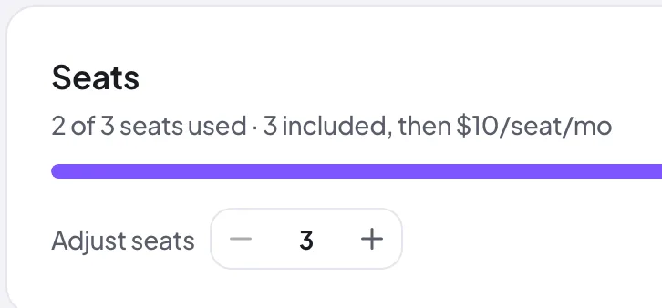 The seat allocation on the Proofel Team page, showing seats in use out of the total