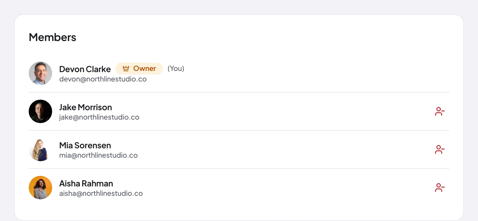 A Proofel team workspace with owner and member roles