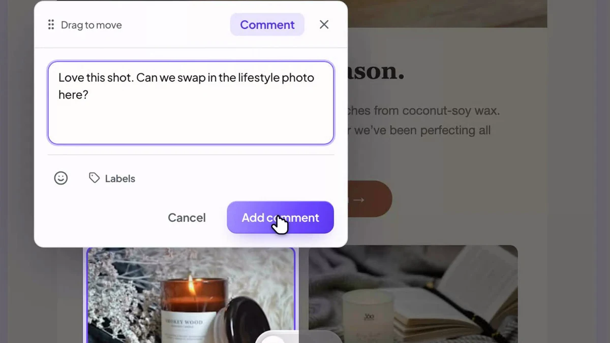 A guest reviewer opening a share link and leaving feedback on an email design